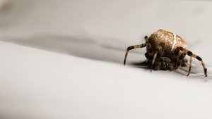 方案最新趋势解读